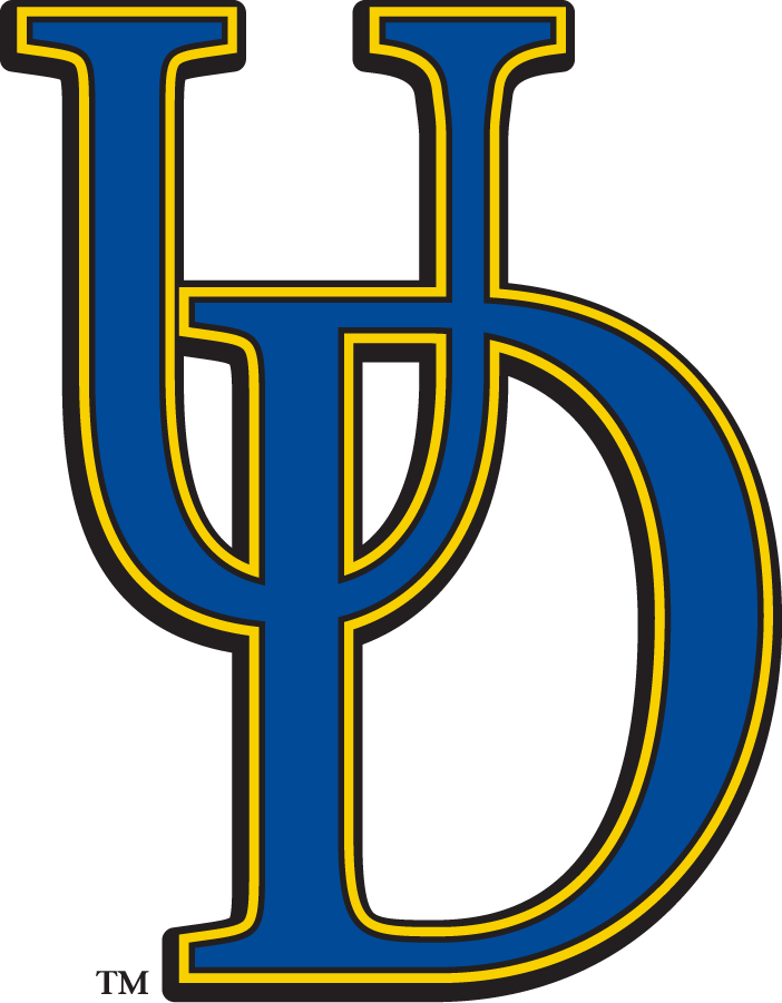 Delaware Blue Hens 2009-2018 Secondary Logo iron on transfers for T-shirts